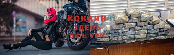 стаф Вязьма