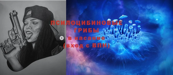 стаф Вязьма