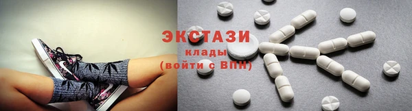 стаф Вязьма