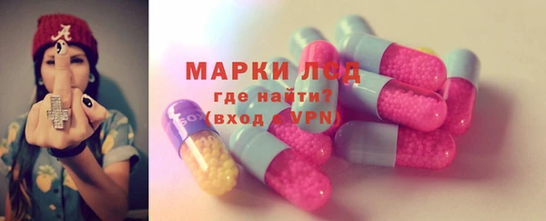 стаф Вязьма