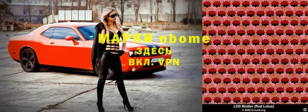стаф Вязьма
