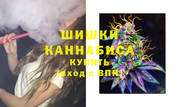 мдпв Вязники